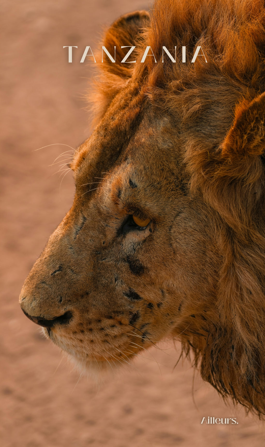 Tanzania