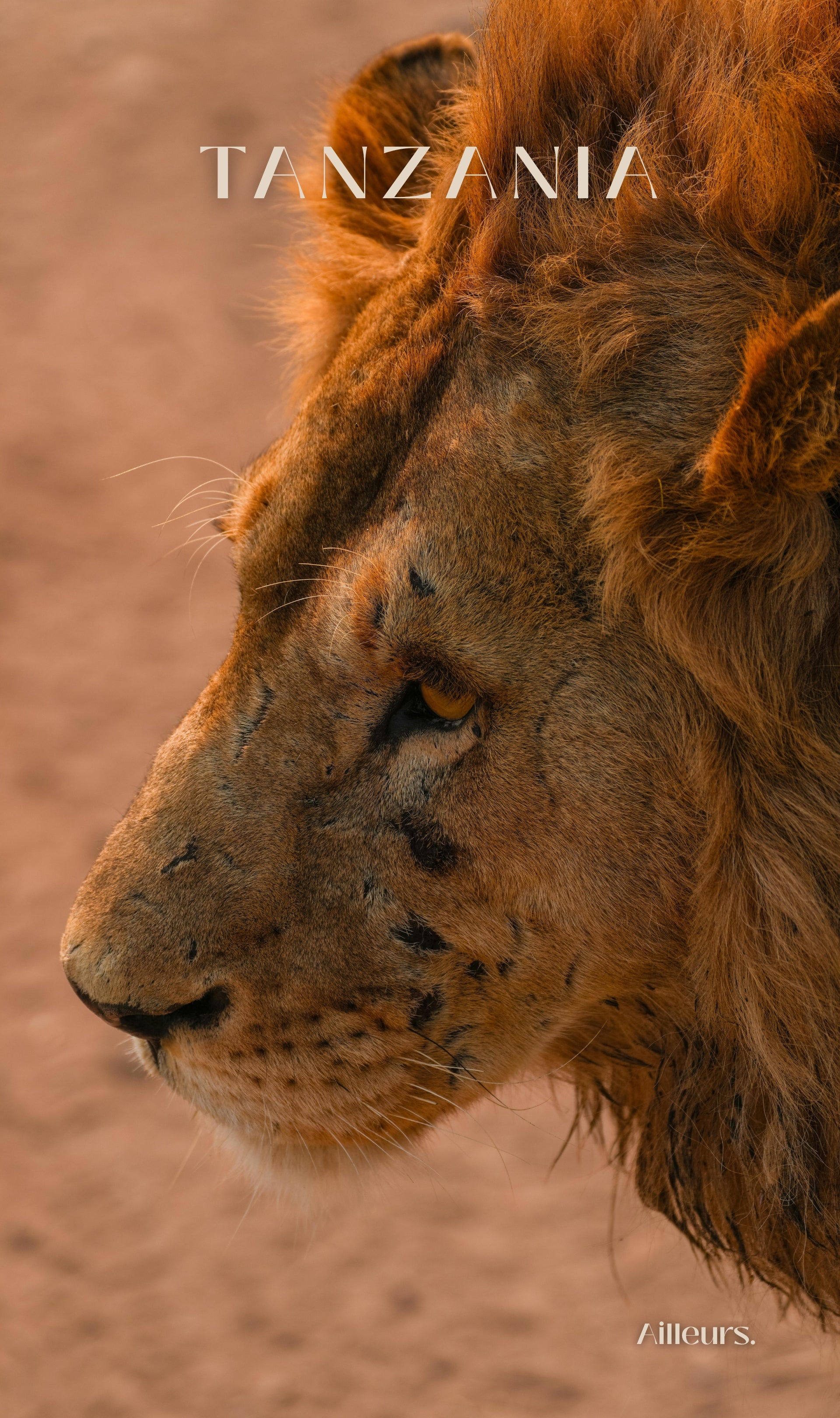 Tanzania