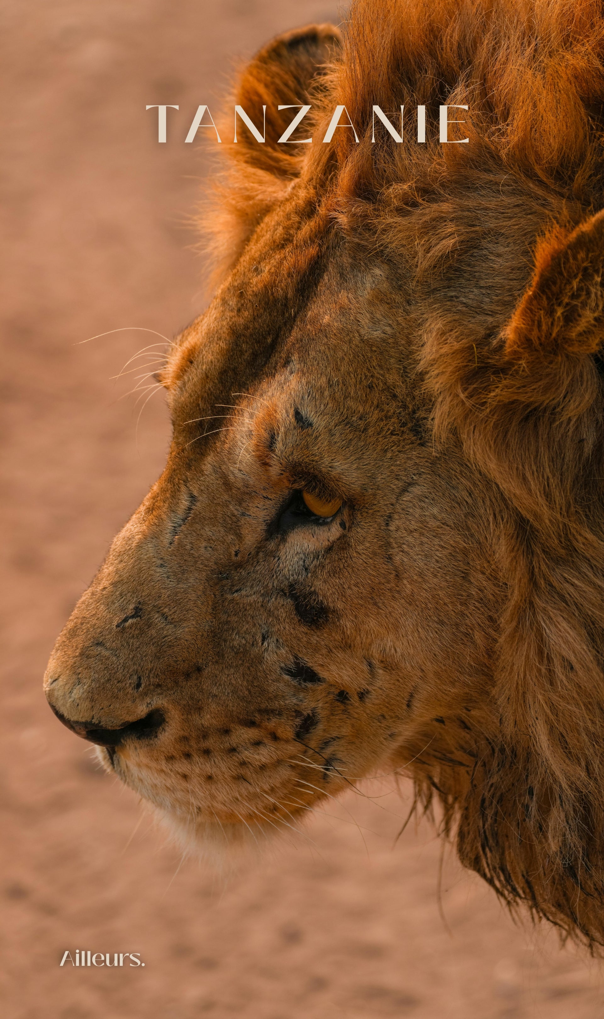 Tanzania